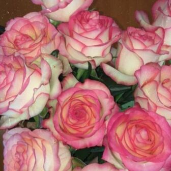 Фото галереи